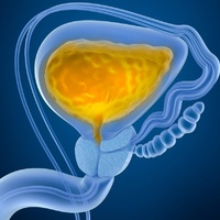 Фото: Острая задержка мочеиспускания