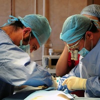 Фото: Трансплантация почки