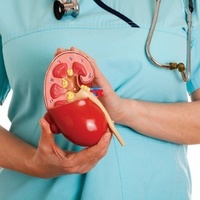 Фото: Хроническая болезнь почек (хроническая почечная недостаточность)