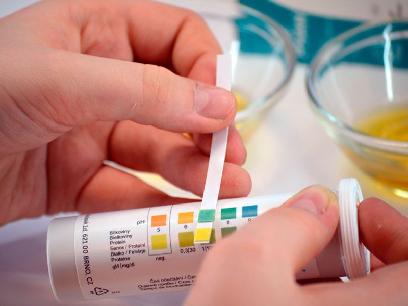 Фото: Физико-химические свойства